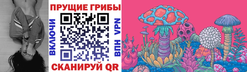 Псилоцибиновые грибы MAGIC MUSHROOMS  Кологрив 